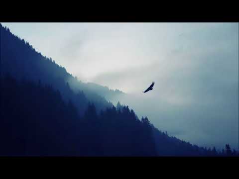 Lana Del Rey & ETC!ETC! vs The Chainsmokers & Vincent  - Summertime Sadness vs Paris