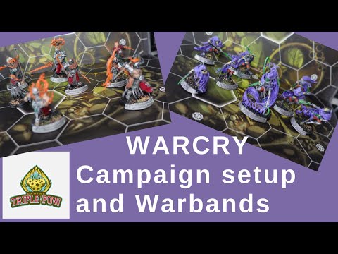 WarCry Solo Campaign - the setup and how to