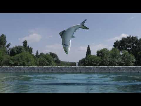 PICTURE TO ANIMATION in Blender - Fish