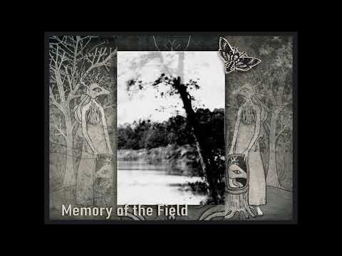 Polterngeist - Memory of the Field