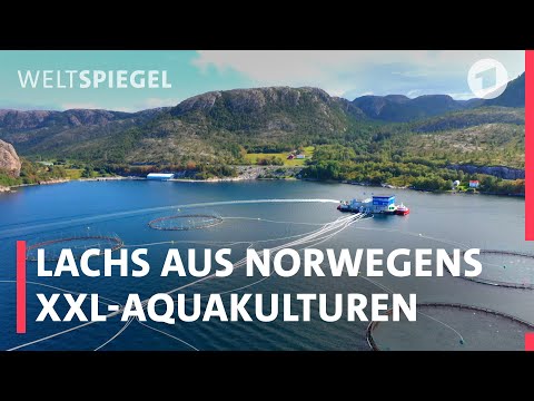 Vorschaubild Video