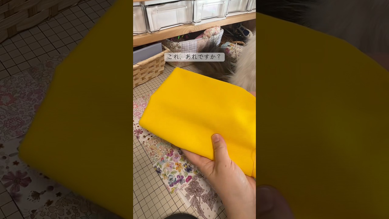 久しぶりのパッチワークと、ウロウロする猫 #元野良猫 #ハンドメイド #パッチワークキルト