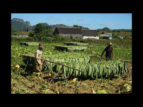 As 48 Leis do Poder - Lei 10: Contágio: Evite o Infeliz e Azarado