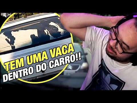 LUDGERO REACTS TO XRACING DAILY OBSERVATIONS 186 - Ludgero's Cuts