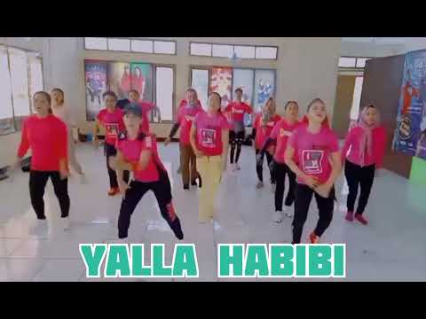 Ragheb Alama ft.Seyi shay || Yalla Habibi || Win'd Aerobik || Dance