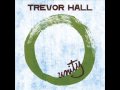 Trevor Hall - Unity 