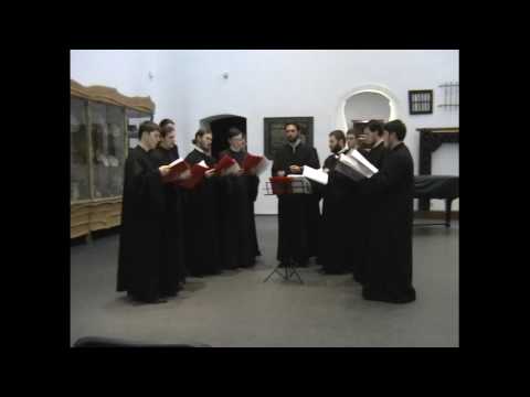 Grupul Lumina Lina - Sedealna glas 1