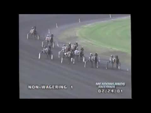2001 Meadowlands MAGNETIC POWER Berndt Lindstedt Merrie Annabelle Trot Elimination