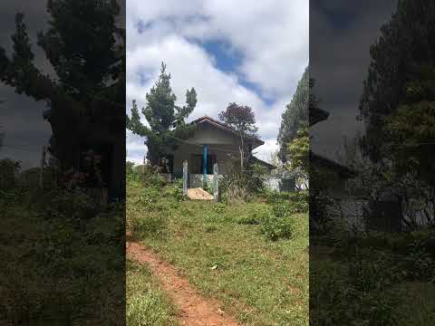Sítio de 13 hectares à venda em Senador José Bento - MG