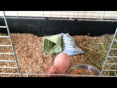 Skinny popping in his bag