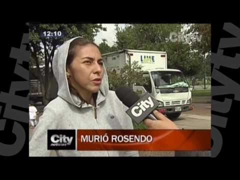 Murió Rosendo, el perro que fue agredido por un operario d