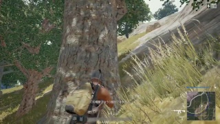 今日のPUBG