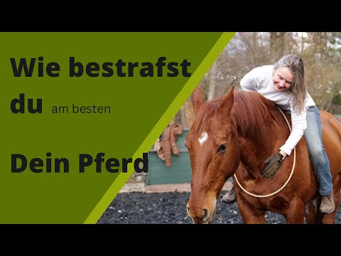 Wie bestrafst du am besten dein Pferd I Angst am und auf dem Pferd