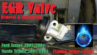 EGR Valve: Ford Escape Removal & Installation