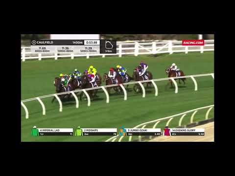 IVE Print Handicap ELEPHANT Caulfield