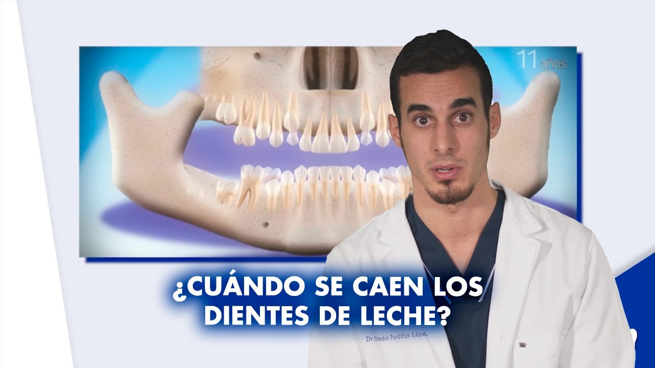 ¿A qué EDAD se CAEN los DIENTES DE LECHE ¿Pueden no caerse | #Shorts