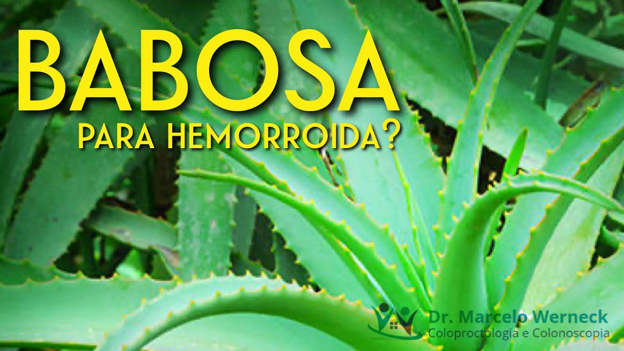Babosa é bom para hemorroida | Dr. Marcelo Werneck
