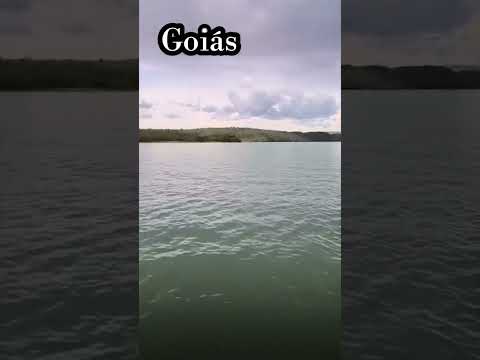 ONÇA PRETA NO LAGO CORUMBÁ 4 DE ABADIANIA GOIÁS 🥰