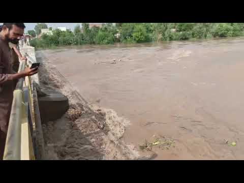 Nature Furry| River Flood #nature #flashflood #river 