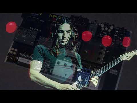 L.A. SOUND DESIGN DAVID GILMOUR INSPIRED PEDALBOARD