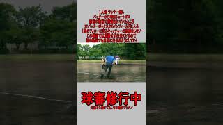 1人制 球審 ランナー無し ショートゴロの場合 #野球  #草野球  #審判 #球審