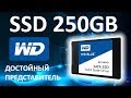 SSD WDWDS250G2B0A