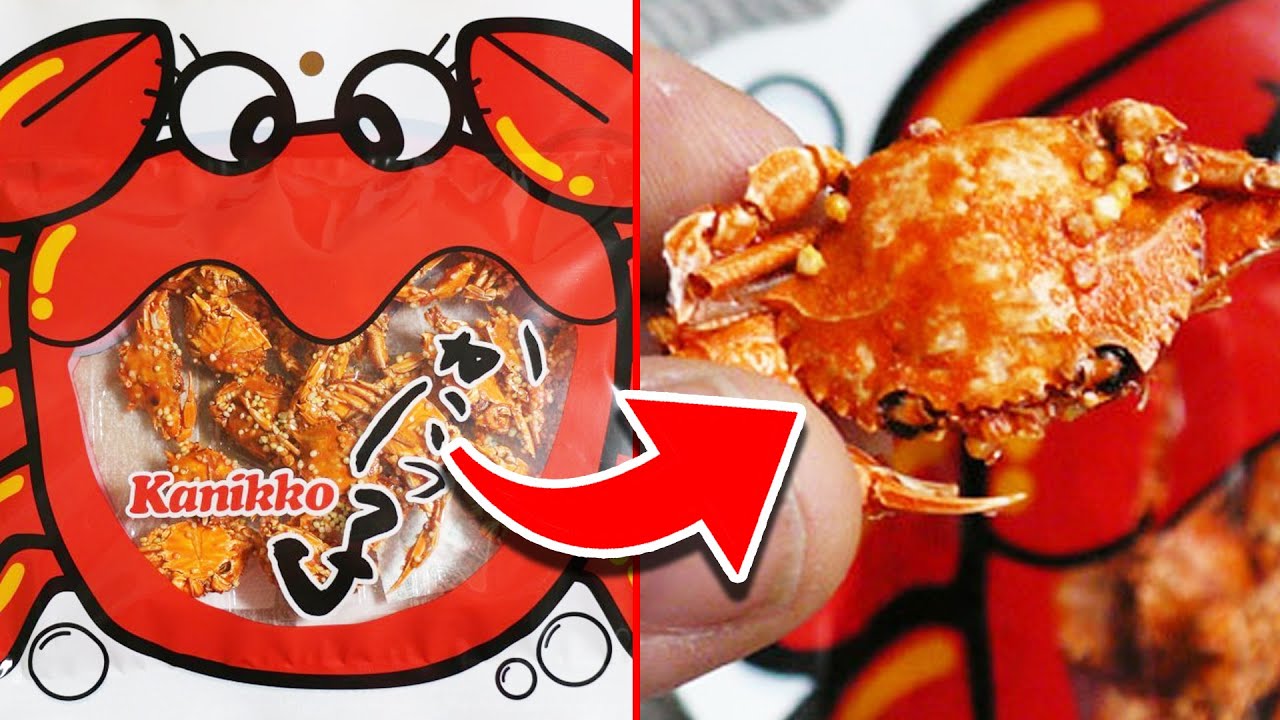 10 UNUSUAL Junk Foods From Around The World