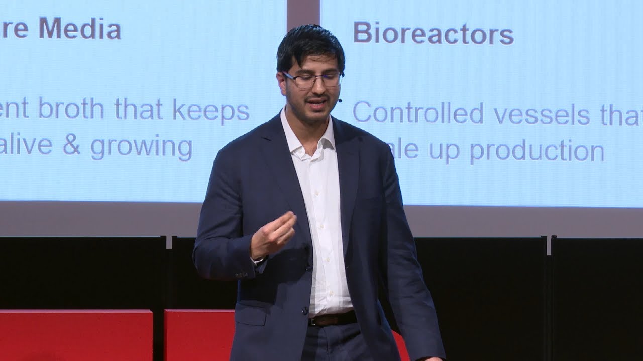 The winter before spring: The cultivated meat story | Ahmed Khan | TEDxLondonBusinessSchool