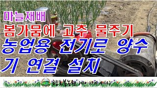 마늘밭 물주는 펌프 전기선 연결하기