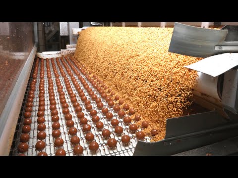 HOW Ferrero Rocher IS MADE in FACTORY 🍪| Knowing This Will CHANGE Your Look At Ferrero FOR EVER!