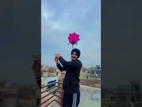 Big kite 🪁 flying|12 tawa kite|bir ramgarhia kite flying|Big kite flying| #shorts