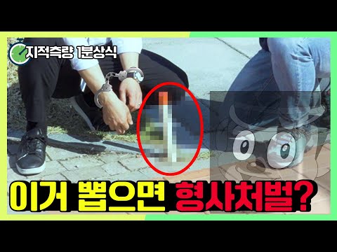 길가에 보이는 이거 훼손하면 형사처벌?! ？지적측량 1분상식 EP 02 [매주 수요일 3시 공개]