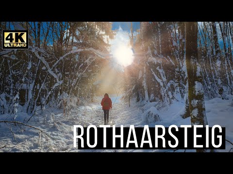 Rothaarsteig und Kyrill-Pfad - Sauerland | DJI Pocket 2 [4K Video]
