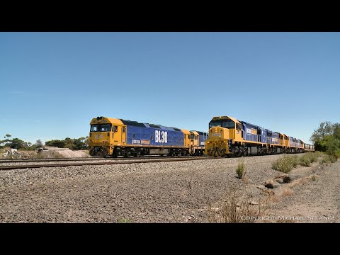 Broad Gauge Grain With Quad XR Class Passes Light Engines (21/1/2021) - PoathTV Australian Trains