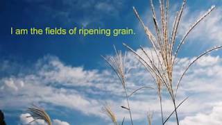 Do Not Stay at My Grave and Weep