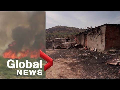 Spain wildfires: Evacuees from El Hoyo de Pinares village return to homes charred by ash
