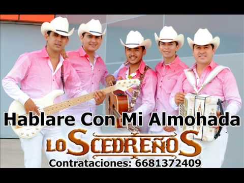 Hablare con mi almohada los cedreños