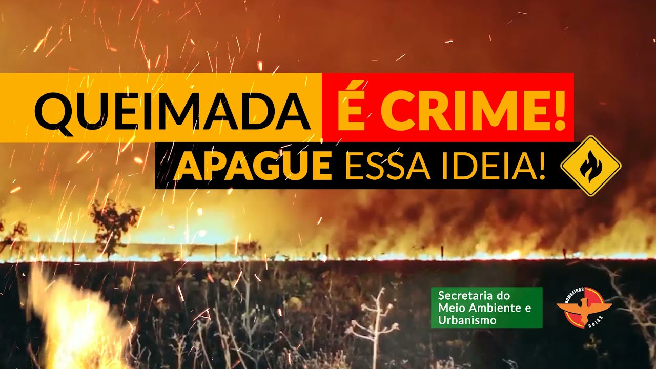 QUEIMADA É CRIME! APAGUE ESSA IDEIA.