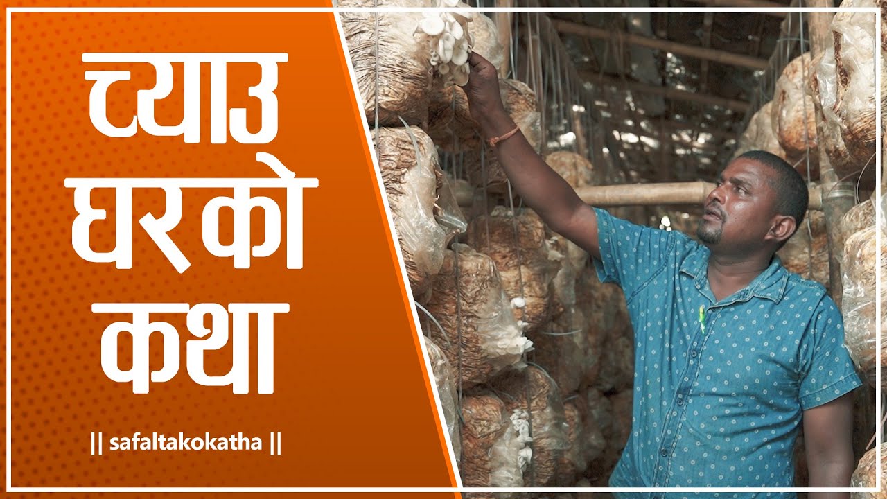 च्याउ घरको कथा  || सफलताको कथा ||