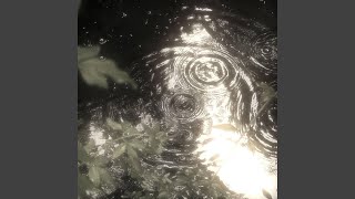 Cover art for back2u