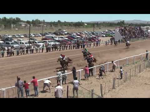 DON NICHOLAS  Club Hípico "Viento Sur" - Cutral Co 11-12-2022