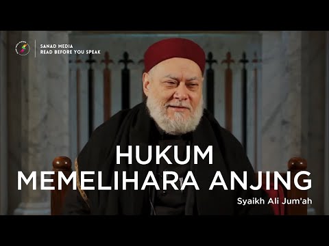 Syekh Ali Jum'ah | Hukum Memelihara Anjing dalam Agama Islam
