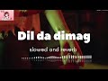 Dil da dimaag(slowed and reverb)