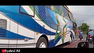 Download lagu DJ bus malam terbaru full Strobo versi bus malam Indonesia mp3 Download lagu DJ bus malam terbaru full Strobo versi bus malam Indonesia mp3