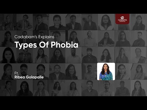 Phobia 101: Exploring Types of Phobias & Effective Treatment Options