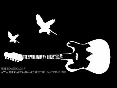 The Sparrowhawk orKestrel - Rogue Planet