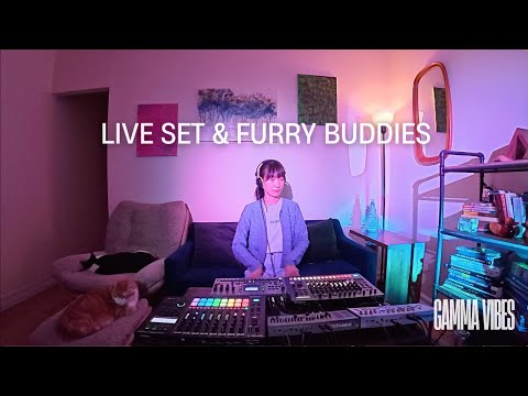 Gamma Vibes  - Live Jamming & Petting session