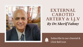 Dr. Sherif Fahmy - External Carotid artery & I.J.V