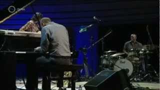 The Yellowjackets Why Is It