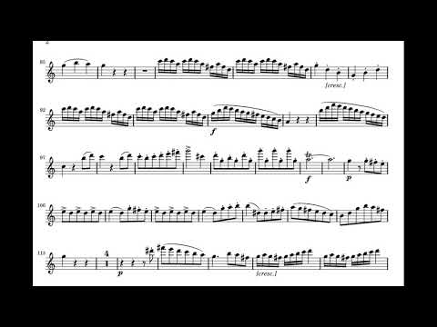 G. Donizetti /Sonata for Flute&Piano in C Minor-accompaniment